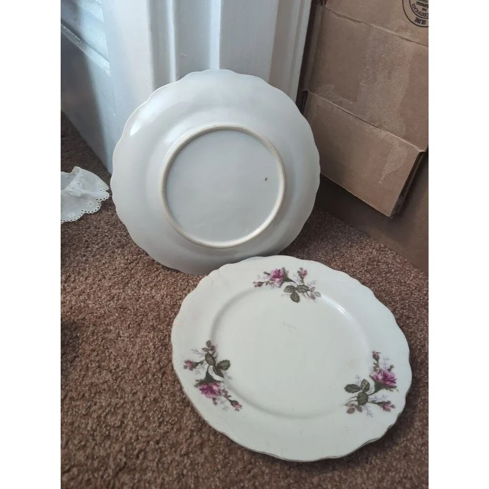 Vintage Floral Patterned Porcelain Dinner Plate Set UNMARKED